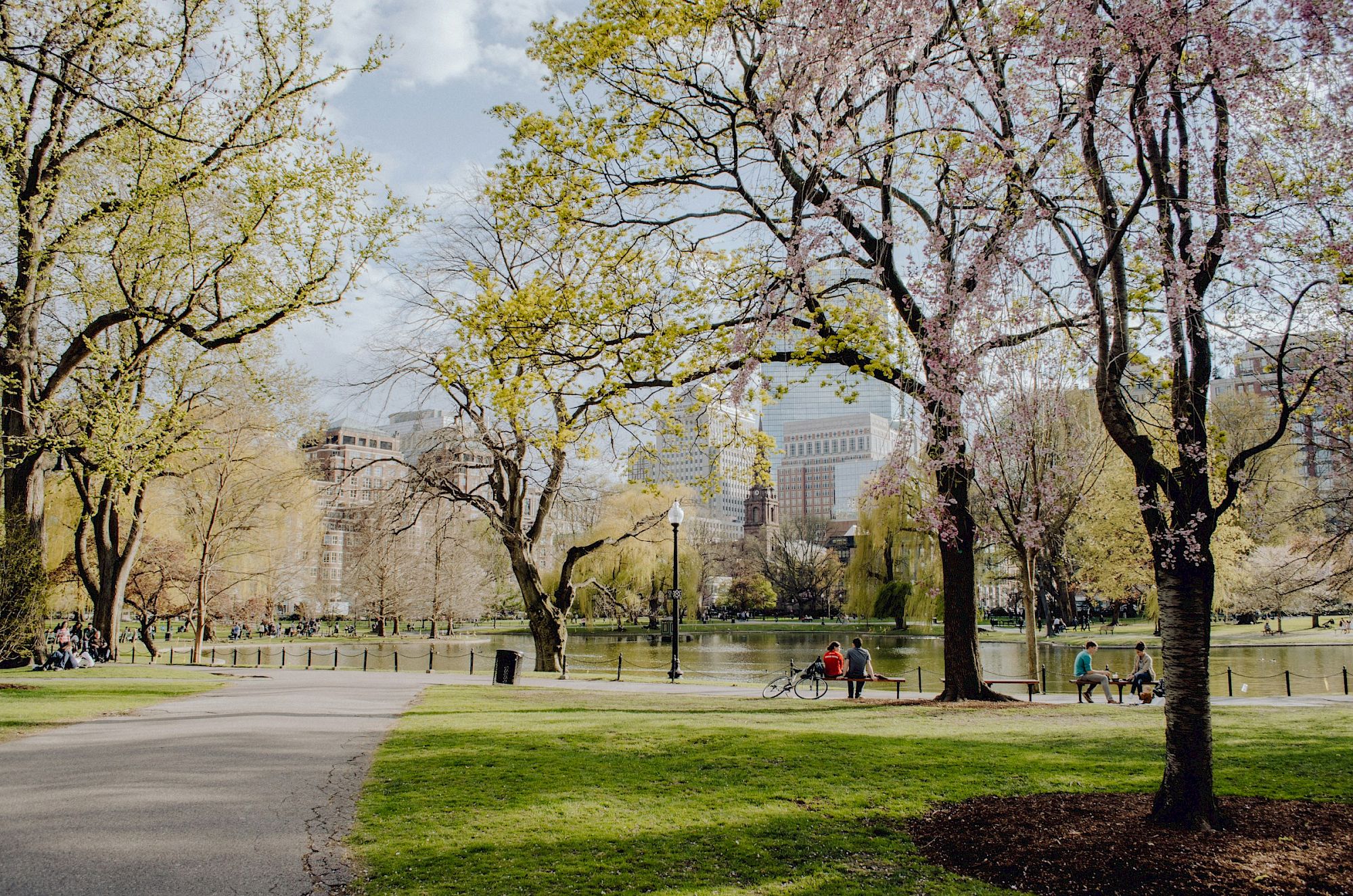 A sunny city park with paved paths, green grass, and tall trees; people strolling beneath budding spring branches in the distance.