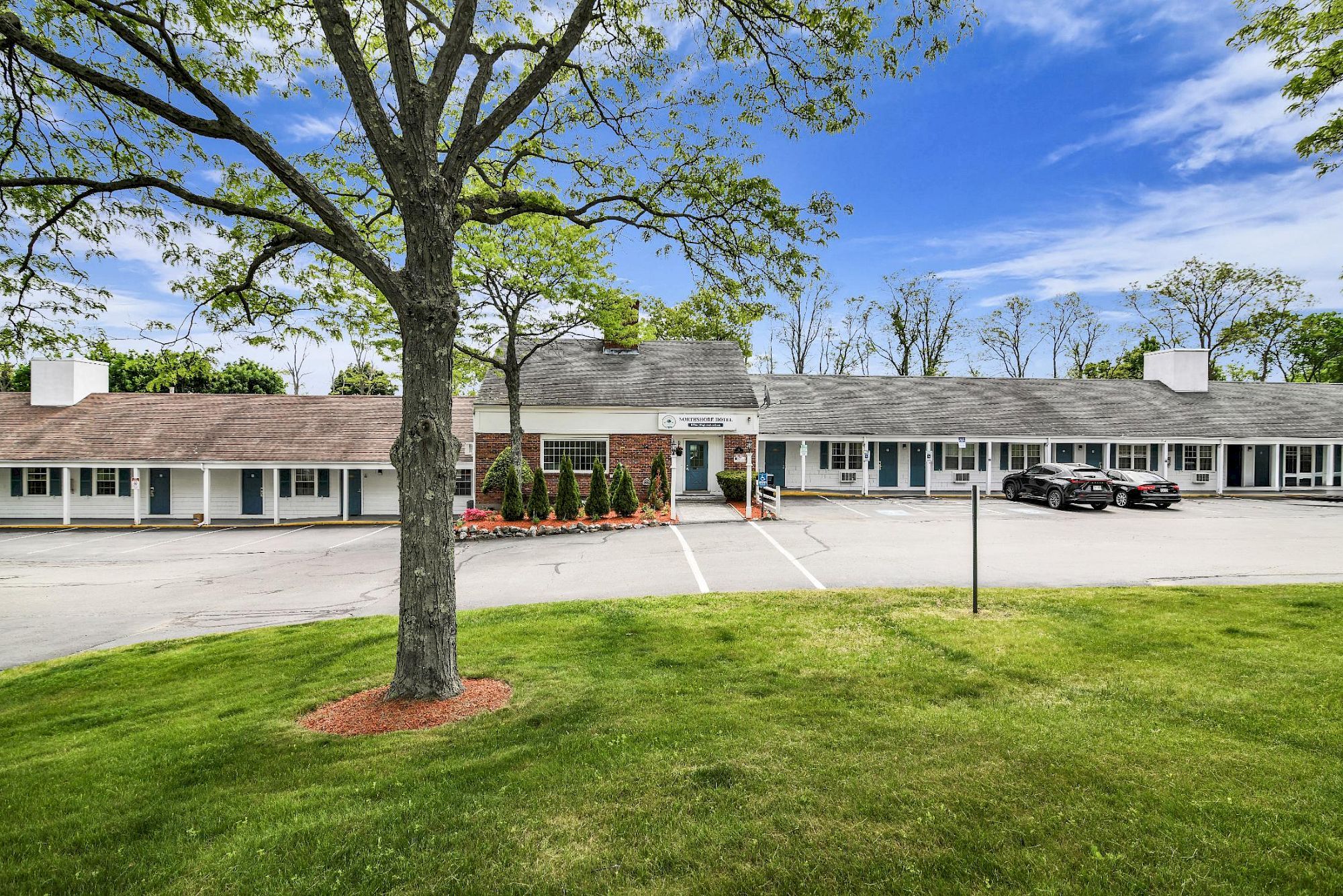 A motel-style hotel exterior with a large tree, manicured shrubs, parking spaces, and a row of rooms under a blue sky.