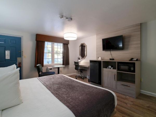 A hotel-style bedroom with a bed, desk, chair, wall-mounted TV, mini-fridge/oven unit, window with curtains, and a blue door, modern and tidy.
