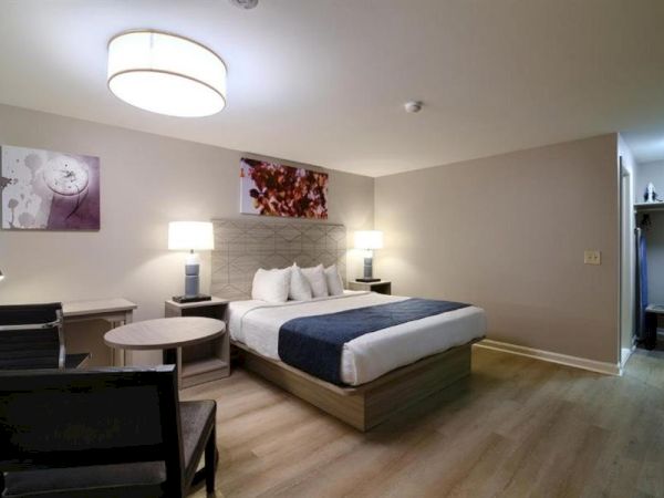 A modern hotel room with a king bed, two nightstands, a sofa, round coffee tables, desk chair, soft lighting, and a closet area in the back.