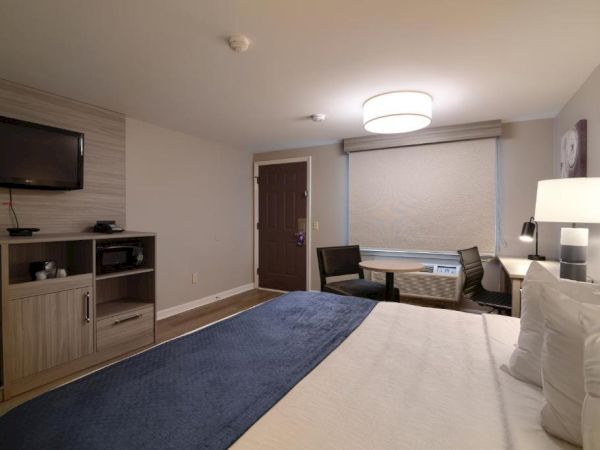 A hotel room with a bed, desk, TV on a cabinet, window blinds, a chair, and a lamp; neutral tones and soft lighting.