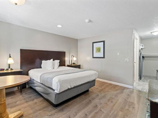 A tidy hotel-style bedroom with a large bed, nightstands, lamps, a round table, wooden floor, and an open doorway to a hallway.
