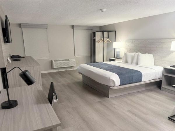 A modern hotel room with a king bed, desk, two nightstands, a chair, and a flat-screen TV, all in light wood tones and soft lighting.