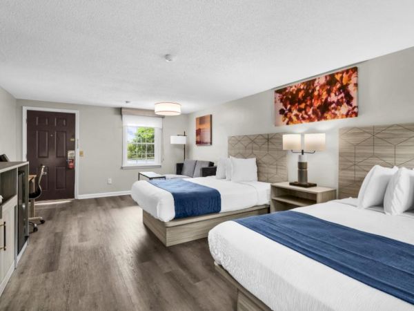 Two double beds in a bright hotel room with grey walls, blue runners, nightstands, a desk area, and a window near the door.