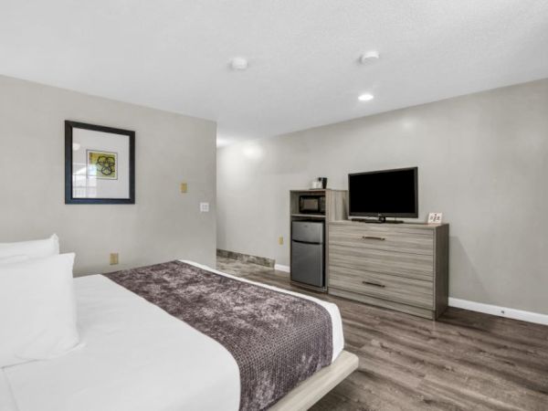 A simple hotel-style hotel room with a bed, a dresser, a flatscreen TV, a mini-fridge, and a microwave corner, modern gray walls, and wood-look flooring.