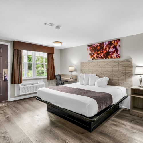 A modern bedroom with a neatly made bed, geometric headboard, lamps, framed art, windows with curtains, and a dark front door.